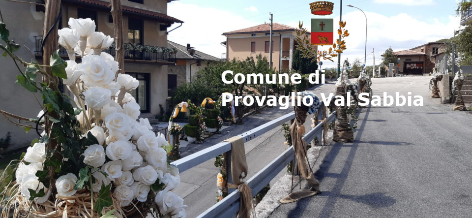 Logo Comune